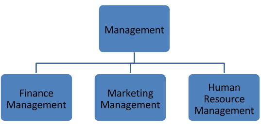management categories