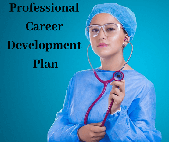 Professional Career Development Assignment Help