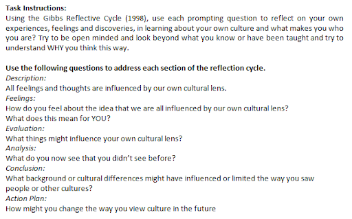 gibbs reflective cycle assignment sample