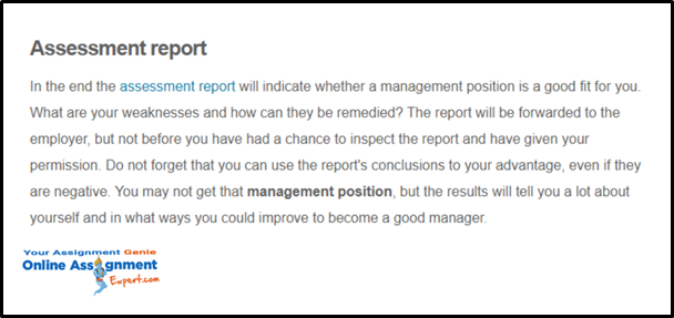 management assignment report