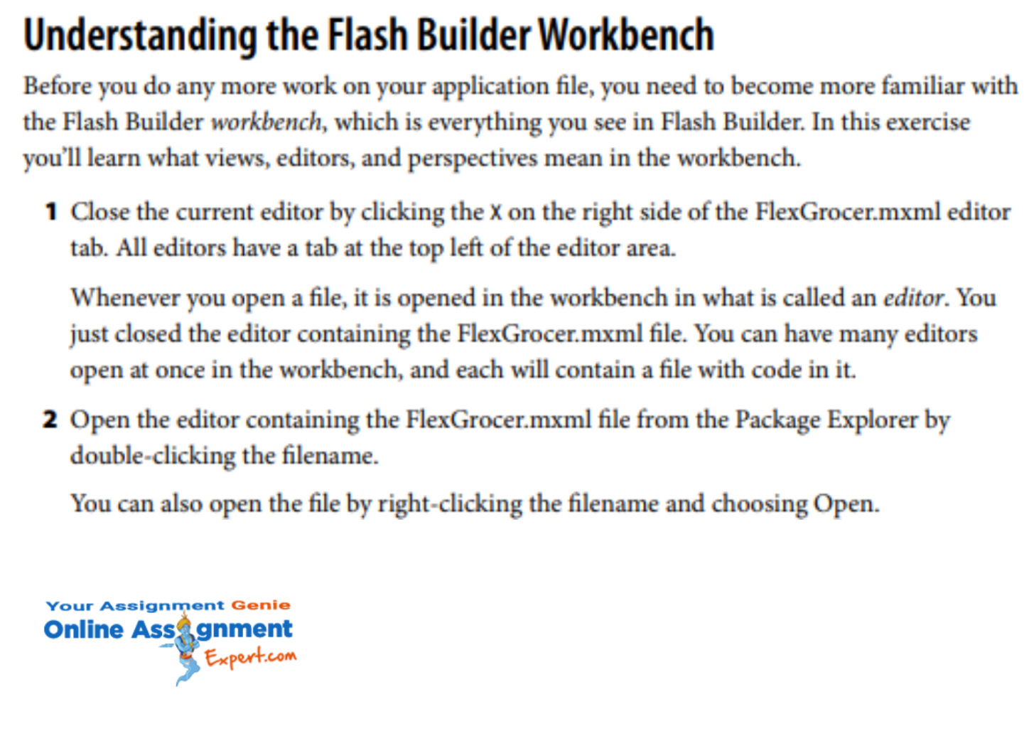 Flash Builder Workbench