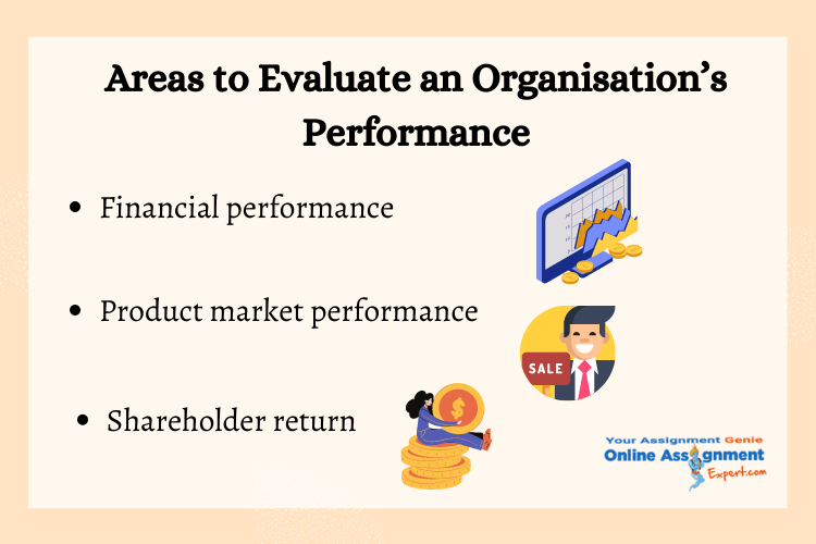 areas to evaluate an organisation performance
