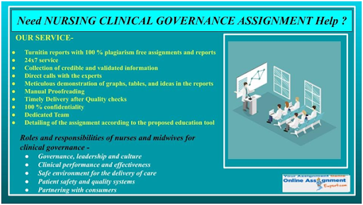 need nursing clinical governance assignment help