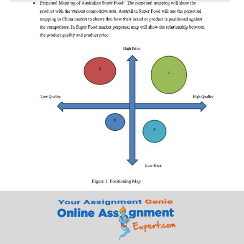 segmentation positioning assessment sample