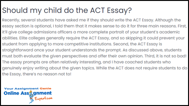 ACT Essay Writing Help 3