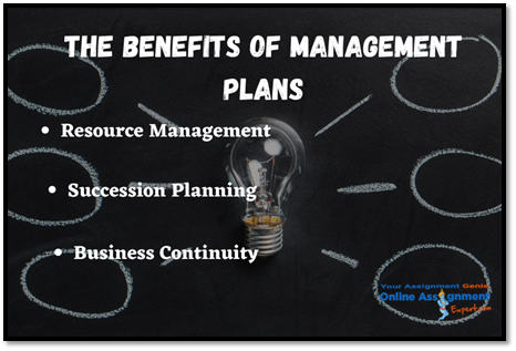 Management Plan In The Workplace Assignment Help 1