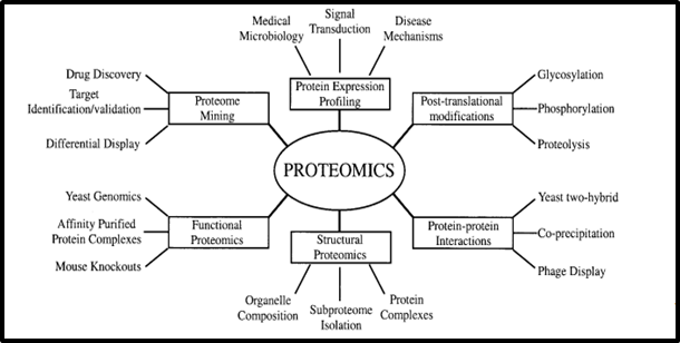Proteomics Assignment Help