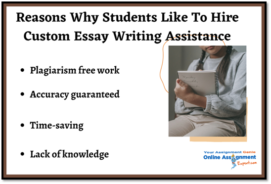 Custom Essay Writing Help