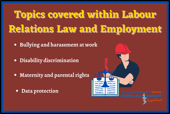 Labour Relations Law And Employment Assignment Help