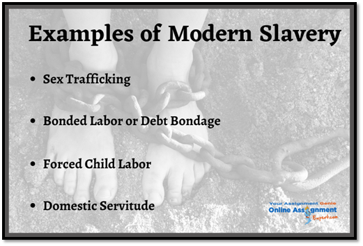 Modern Slavery Assignment Help