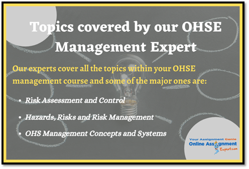 OHSE Management Assignment Help 4