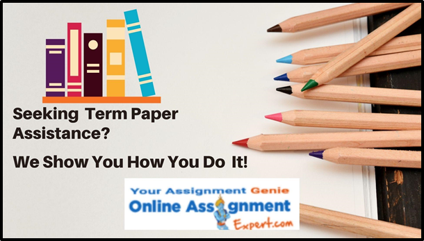 assignment editing services