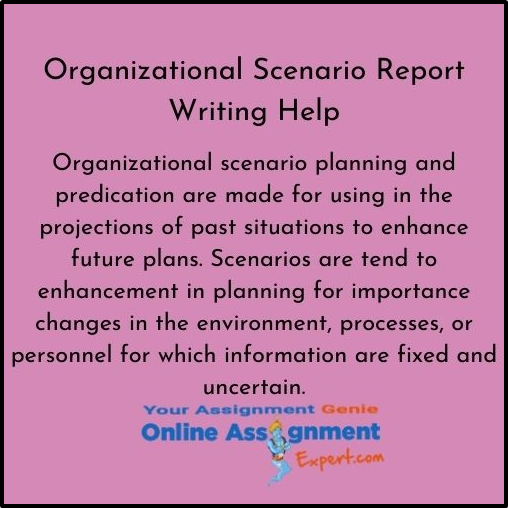 Organizational Scenario Report Writing Help