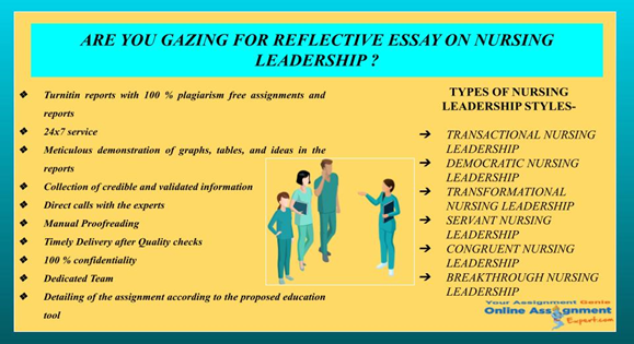 reflective essay on nursing leadership
