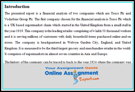 Financial Accounting and Analysis Assignment Introduction