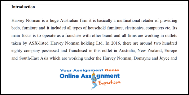 Harvey Norman Business Case Study Samples