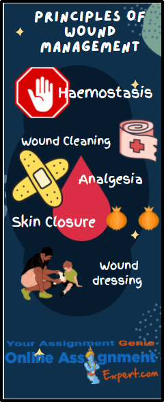 Principles of Wound Management