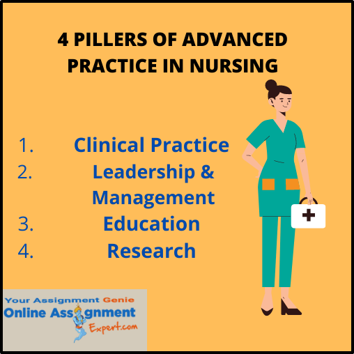 4 Pillers of Advanced Practice in Nursing