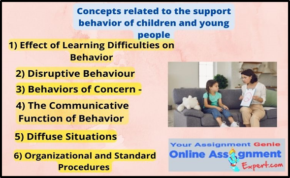 Concepts Related to the Support Behavior of Children and Young People