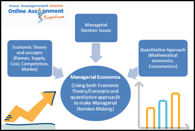 Elaborate on Managerial Economics