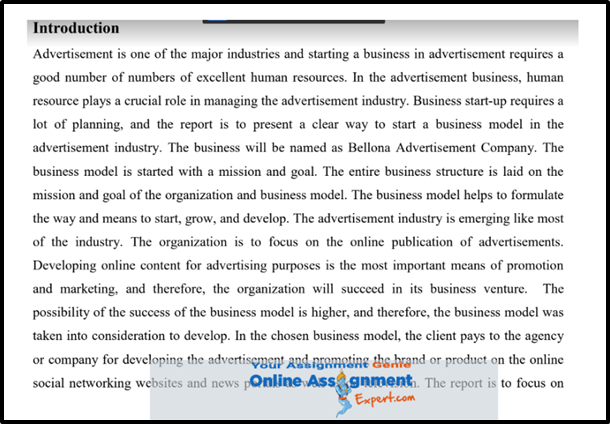 MBA Assignment Sample