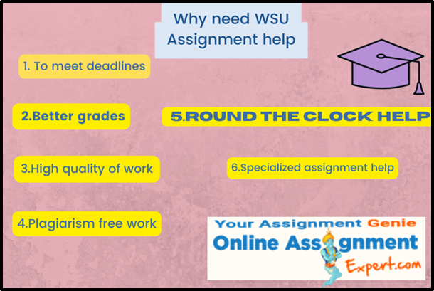 Why need WSU Assignment Help