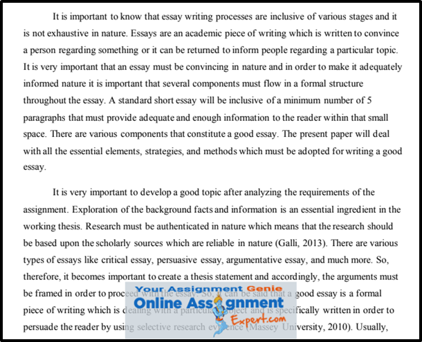 Professional Essay Writer