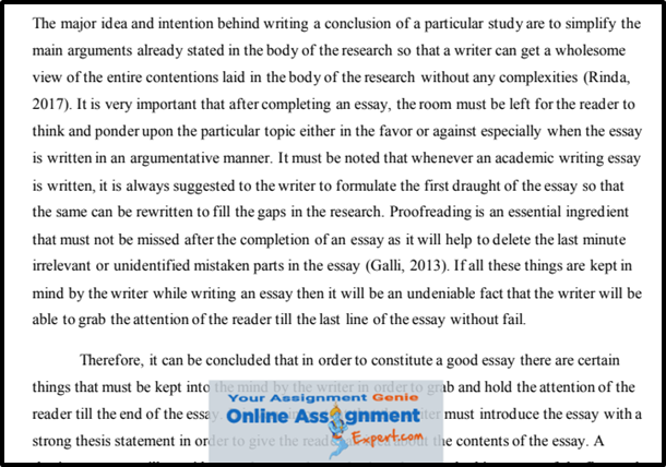 Professional Essay Writers Help