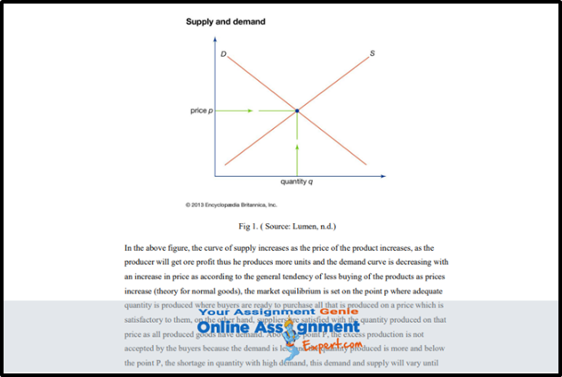 Management Assignment Sample Supply and Demand