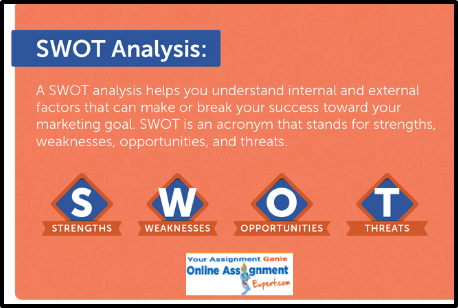 SWOT Analysis Marketing Homework Help USA