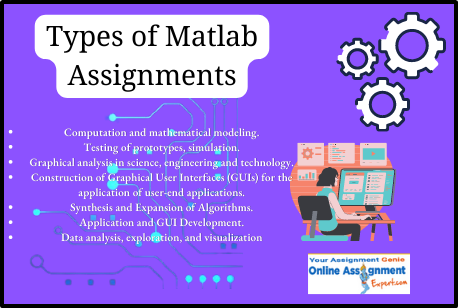 Types of MATLAB Assignments