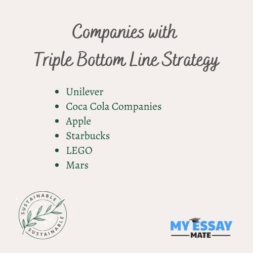 Companies with Triple Bottom Line Strategy