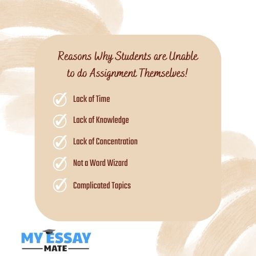 Reasons Why Students are Unable to do Assignment Themselves