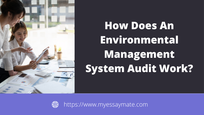 How Does An Environmental Management System Audit Work