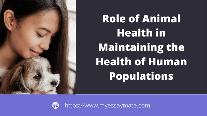 Role of Animal Health in Maintaining Human Health
