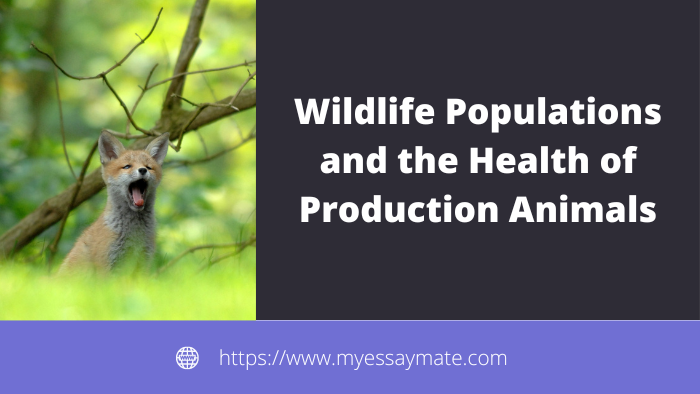 Wildlife Populations and the Health of Production Animals