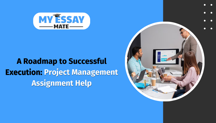 A Roadmap to Successful Execution: Project Management Assignment Help